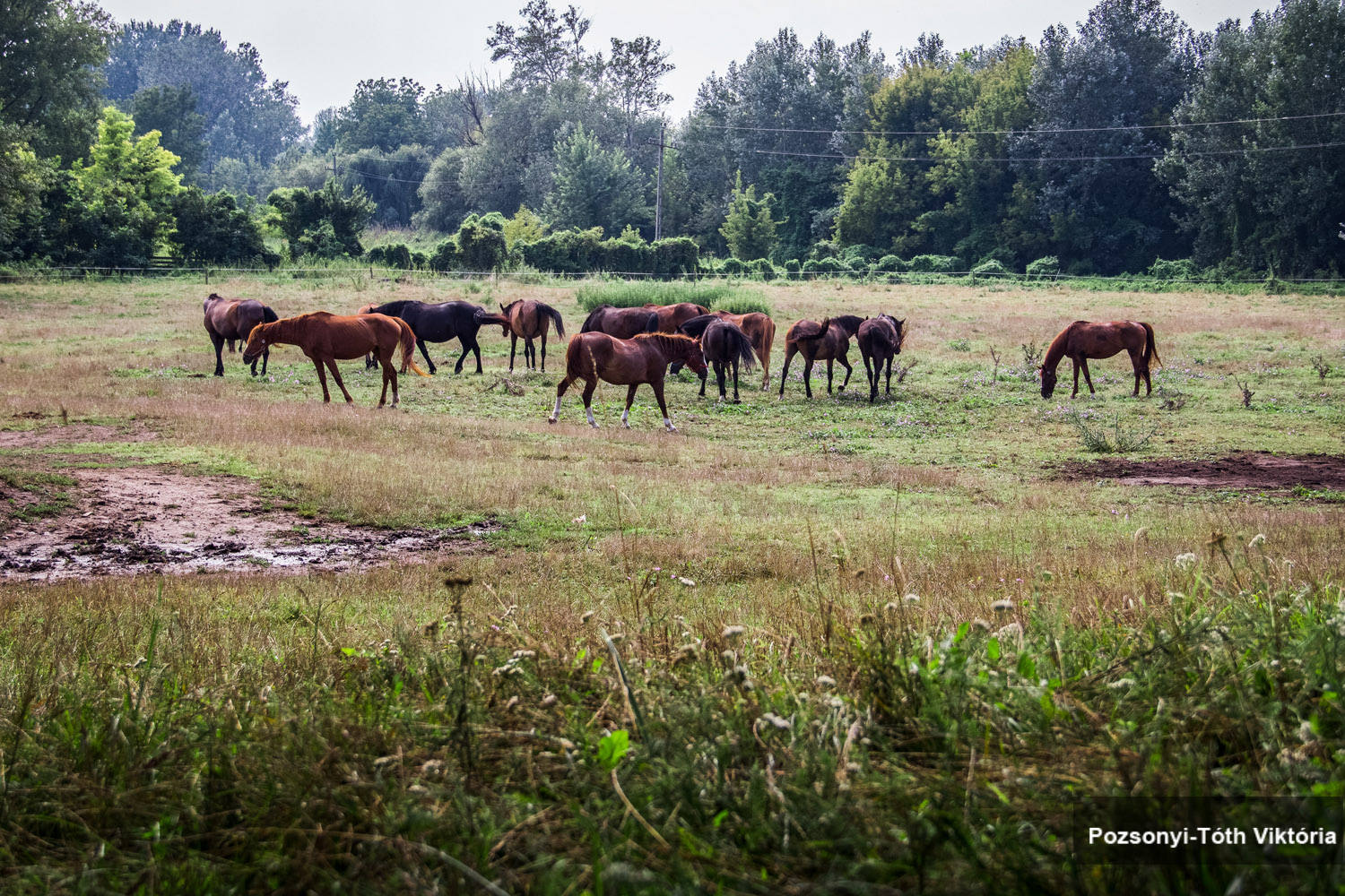 Fotográfus OKJ tanfolyam